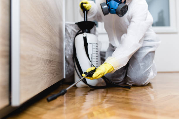 Best Wildlife Control Services  in Thurmont, MD