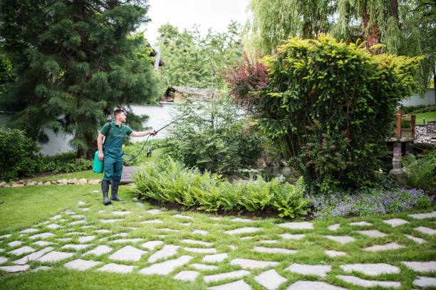 Trusted Thurmont, MD Pest Control Experts