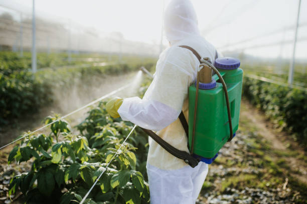Flea Control Services in Thurmont, MD